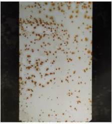 涂料用防閃銹劑有哪些種類?如何科學(xué)使用? 涂料在線,coatingol.com